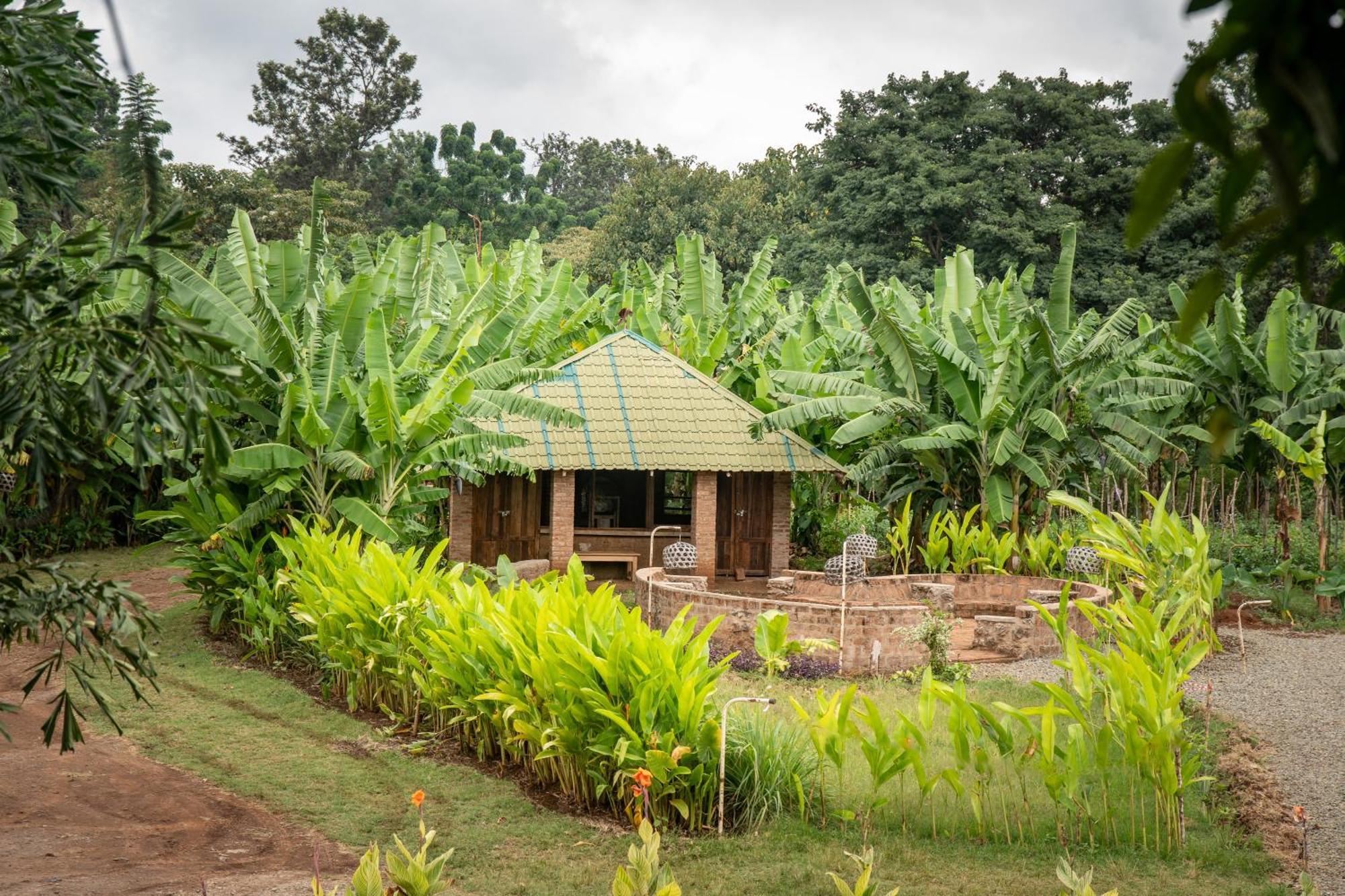 Mount Kilimanjaro 360 View Cottage Uru Exterior foto