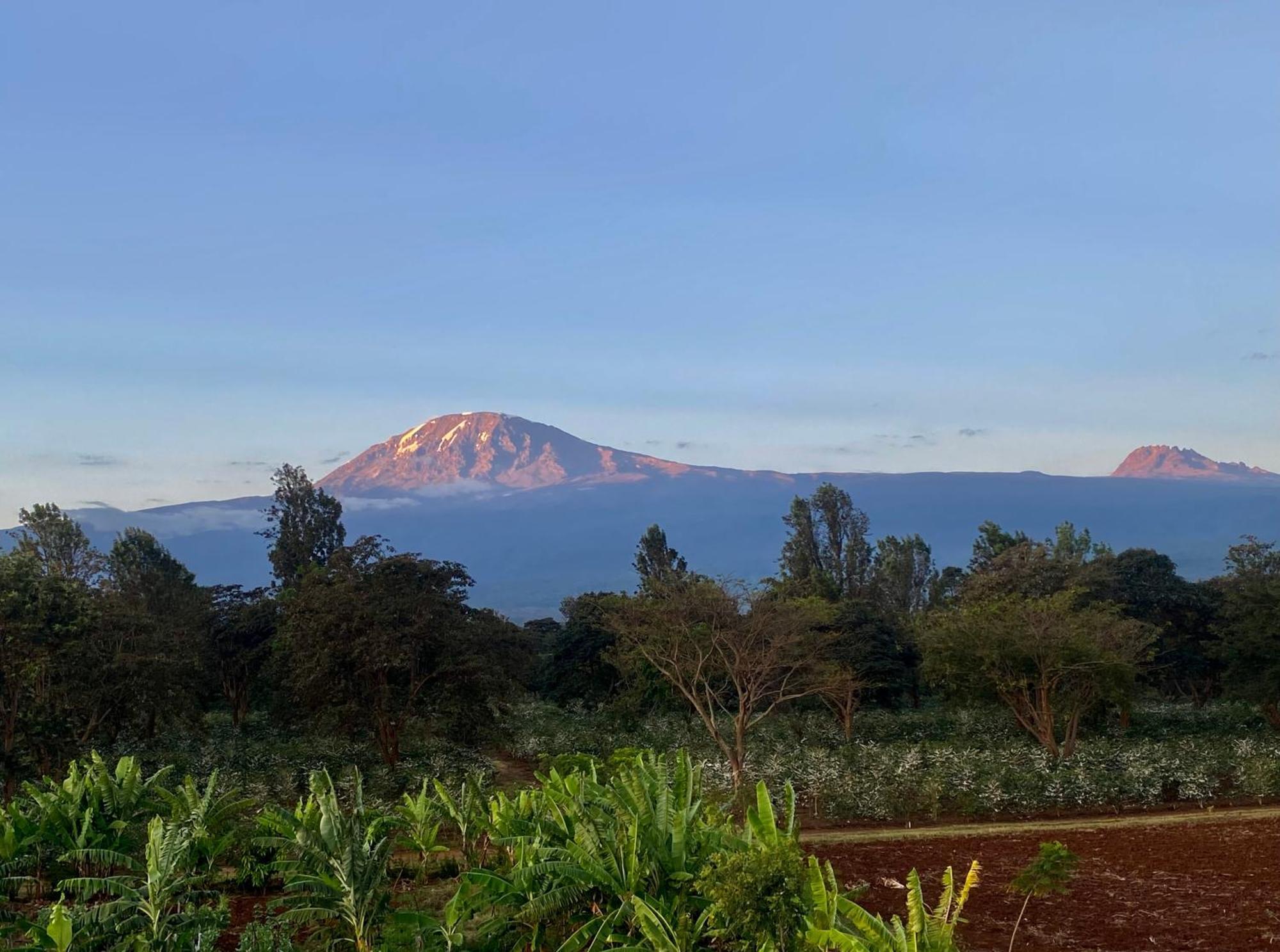 Mount Kilimanjaro 360 View Cottage Uru Exterior foto